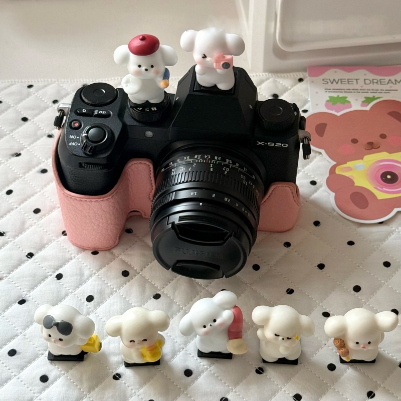Copri Hot Shoe Universale Fai- - Sony Camera Zv-E10 recensione e prezzo